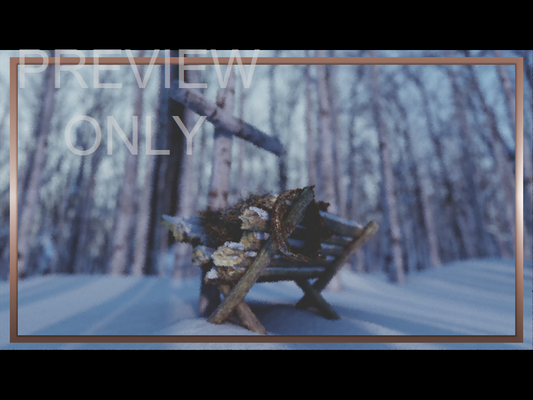 Christmas Joy: Still Manger 02