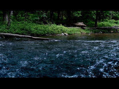 River Wild 7