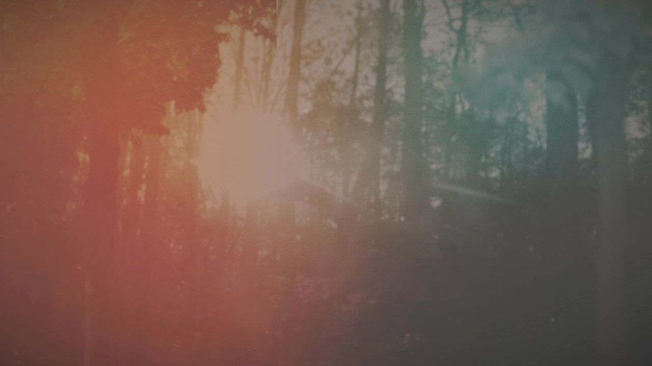 Vintage Hues 02 Still