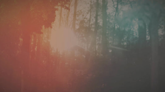 Vintage Hues 02 Still