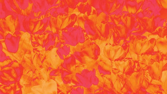 Hyper Bloom 10
