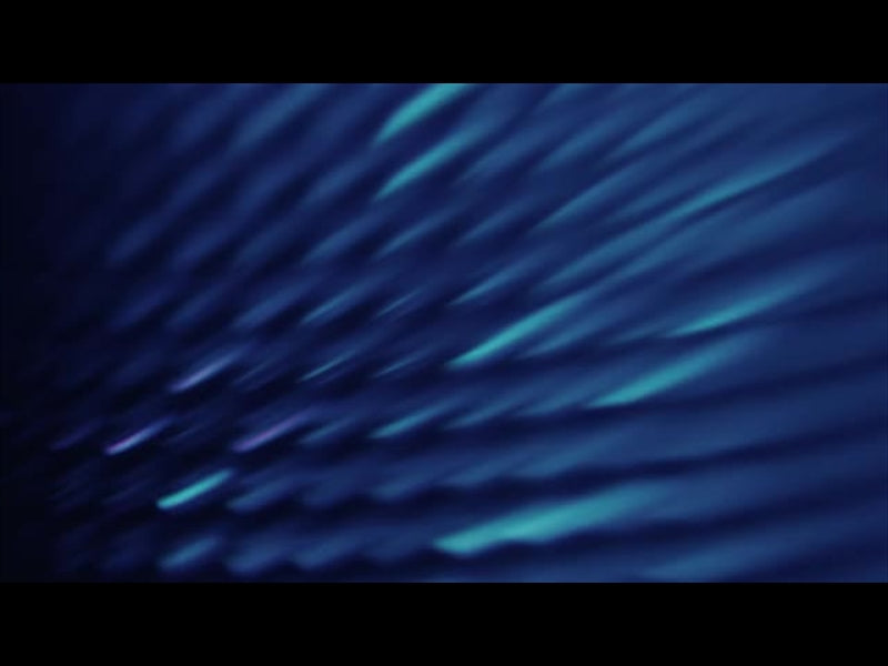 Aqua Scales 6