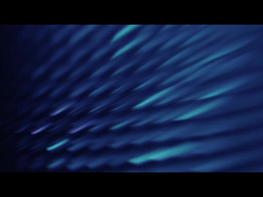 Aqua Scales 6