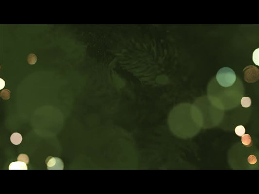 What's Your Focus Loop 2