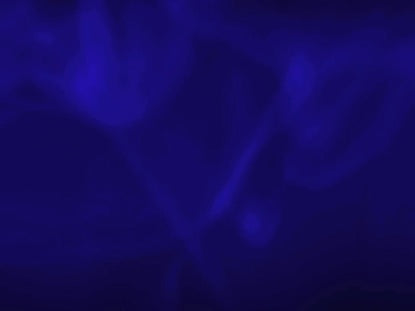 Soft Swirls 3 Navy