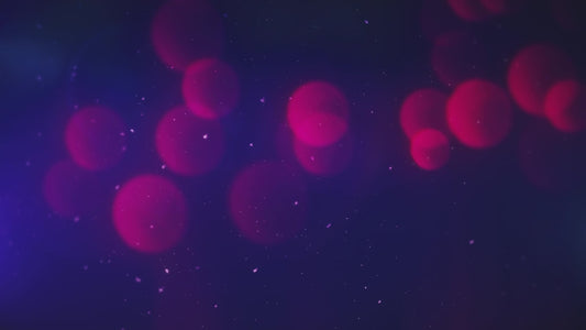 Christmas Flourish 2 Still