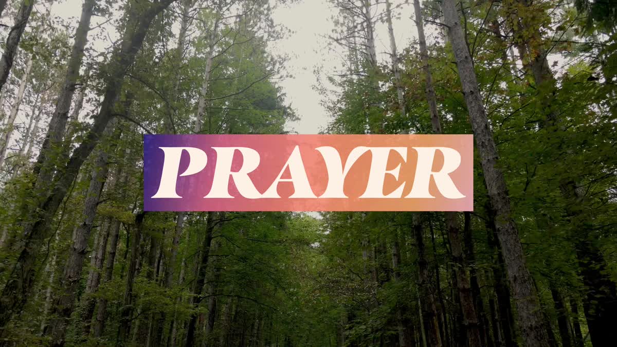 The Forest Prayer Still