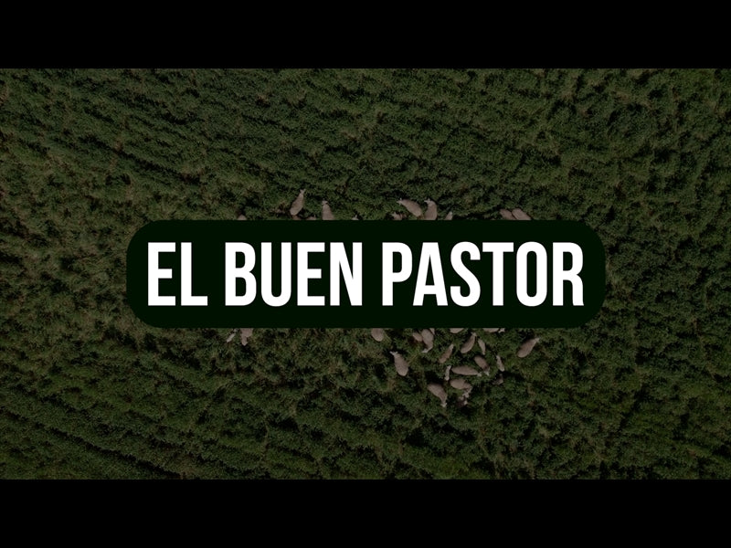 El Buen Pastor
