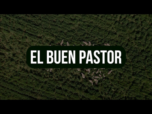 El Buen Pastor