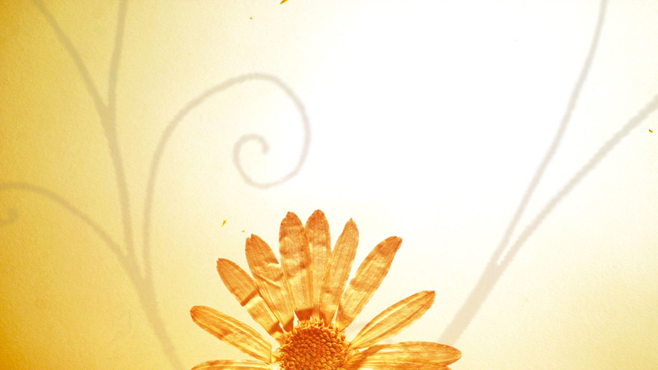 Flower Vines