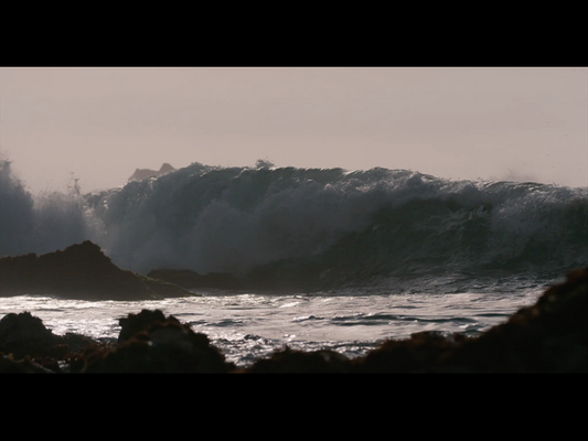 Los Vientos Y Las Olas