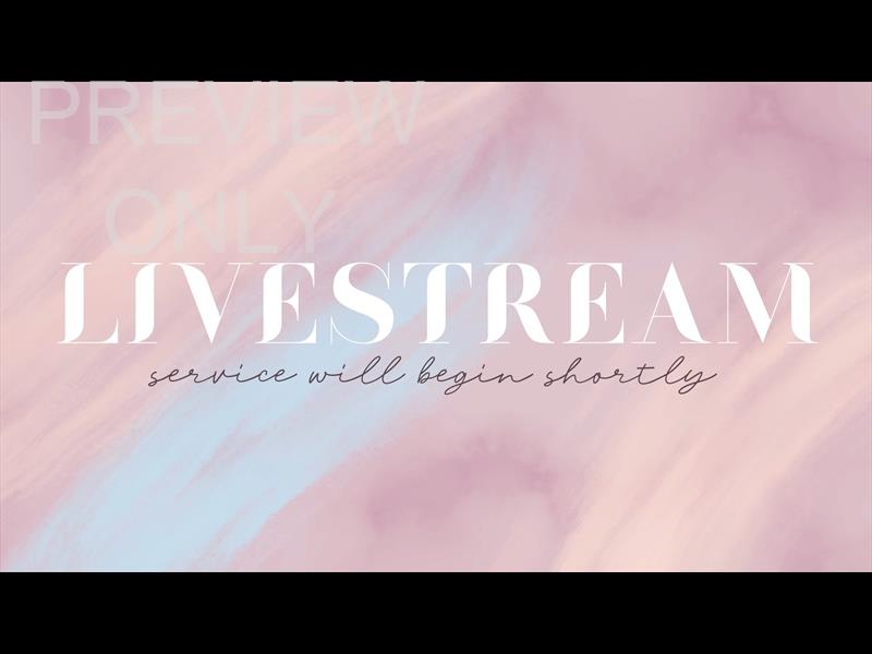 Sweet Breeze: Livestream