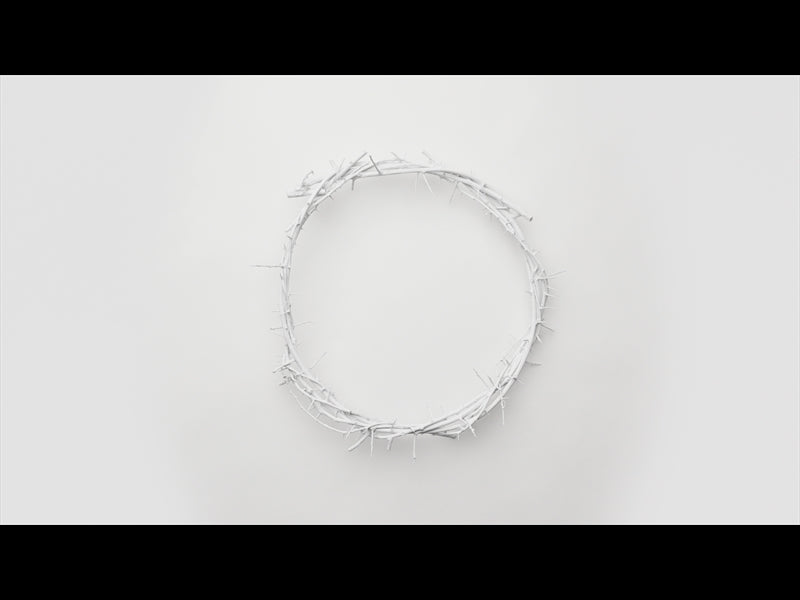 Crown Of Thorns White 7