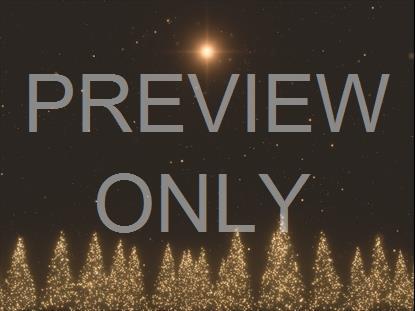 Christmas Gold Pine Trees Wide