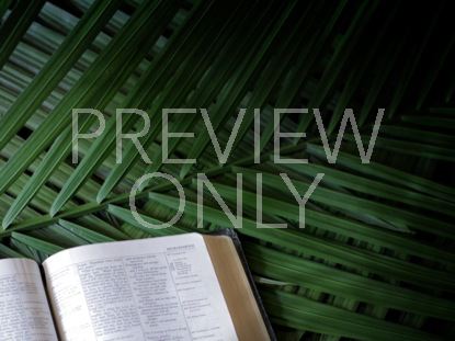 Bible Palm Sunday Branches