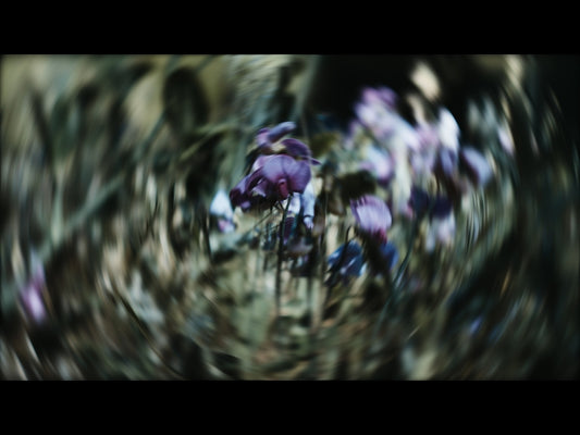 Radial Nature 6