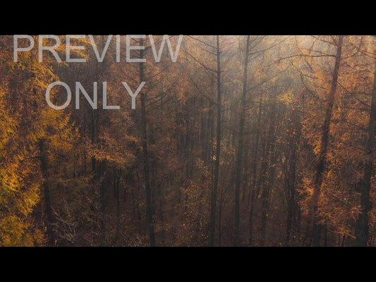 Epic Autumn Aerial Fog Sunset