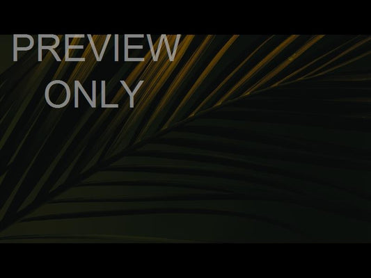 Cinematic Palms Still 6