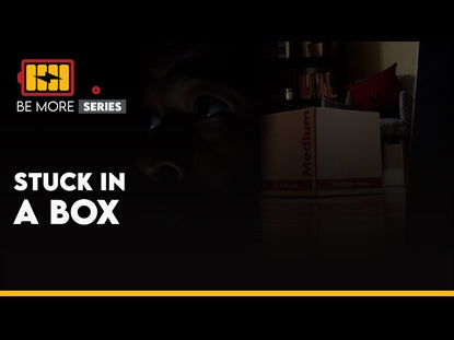 Stuck In A Box