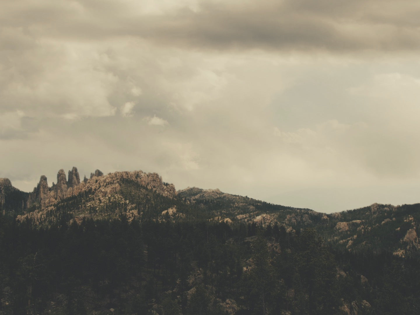 Forest Mountains