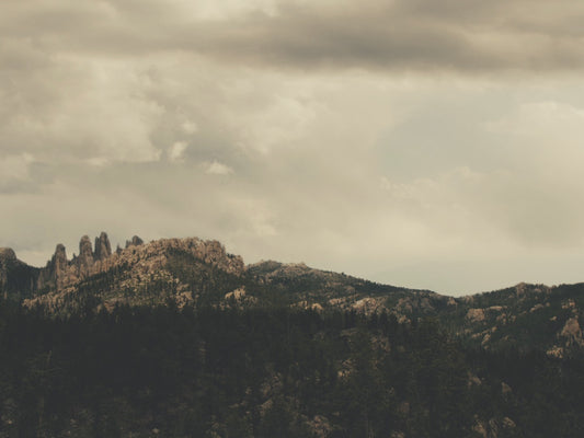 Forest Mountains