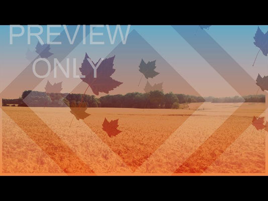 Harvest Background Still 4