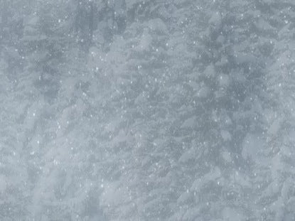 Forest Flurry
