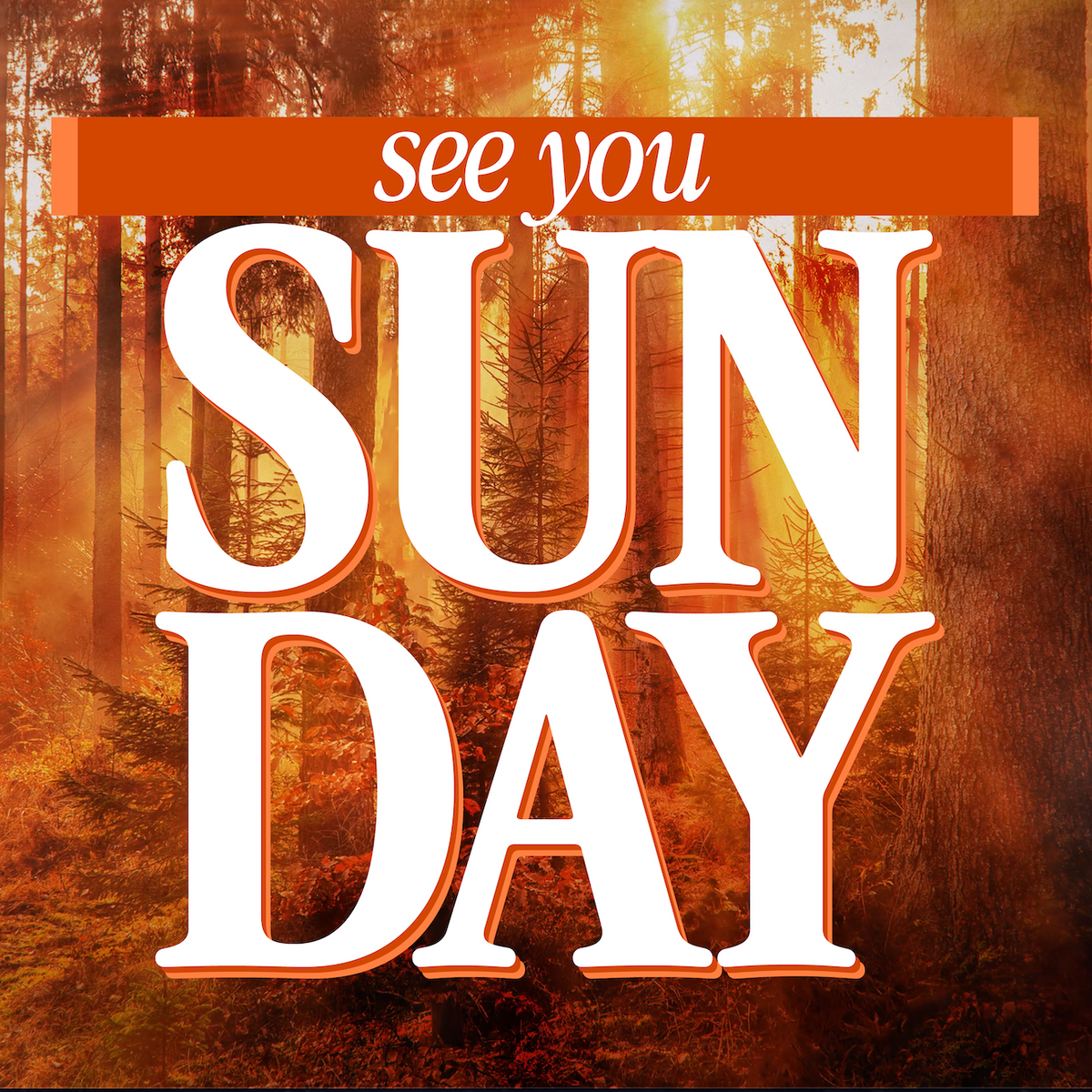 Thanksgiving Light Sunday