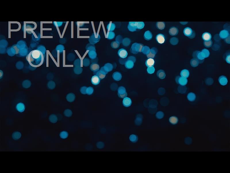 Christmas Lights: 04 Still