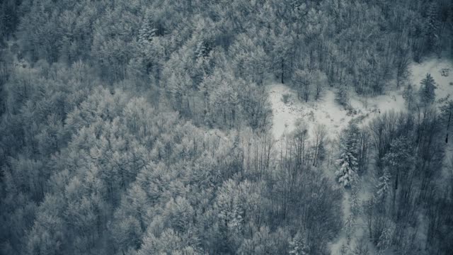 Glorious Winter 16