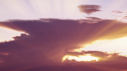 Spring Nature Still 14