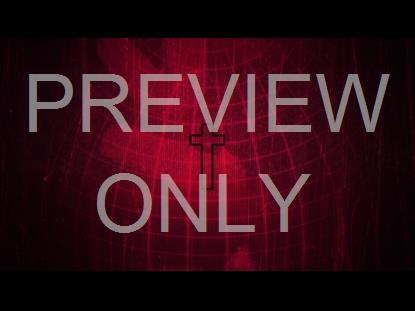 The Cross 14