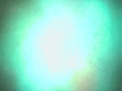 Natures Beauty 11 Motion