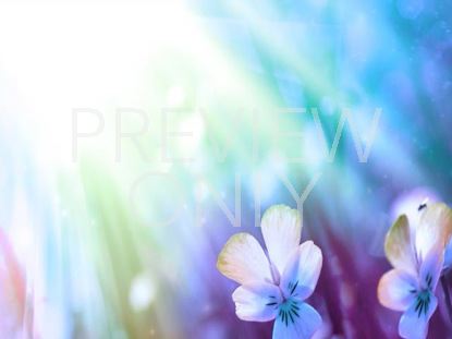 Floral Bloom 10
