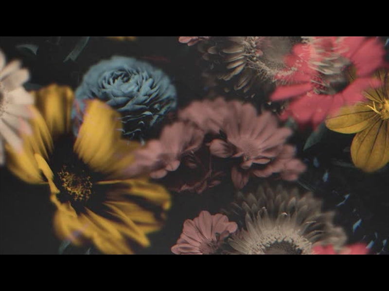 Deep Beauty Loop 03
