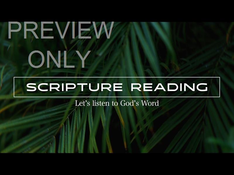 Springs Embrace Scripture Reading Still