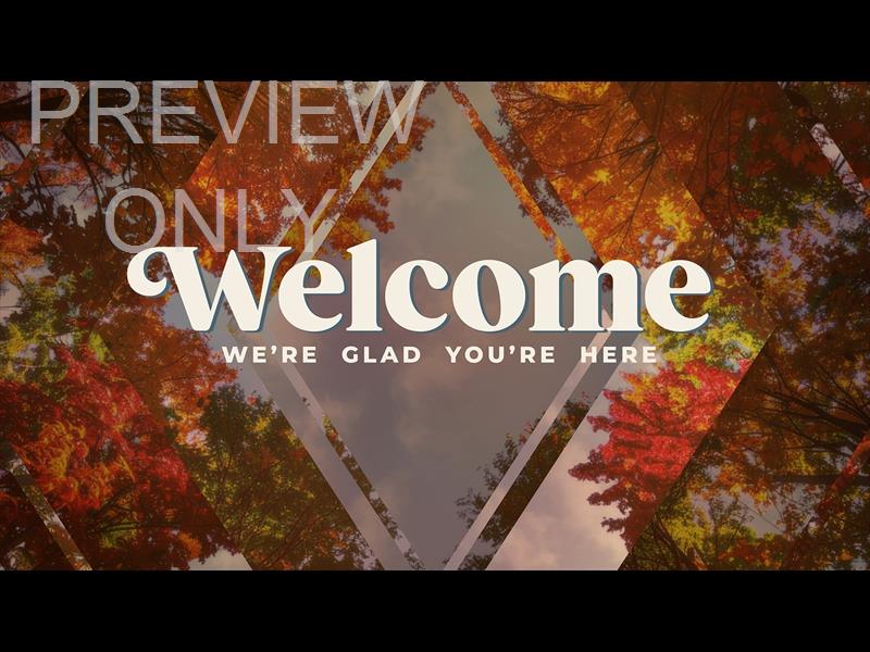 Fall Trees Welcome Still