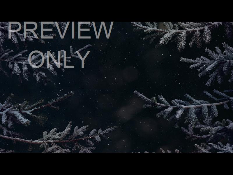 Christmas Wintertide 7 Still