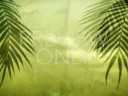Rustic Palms 02