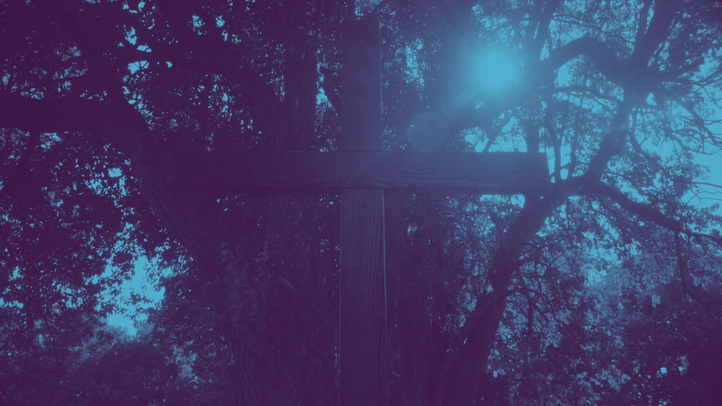 Cross 13 Duotone Still
