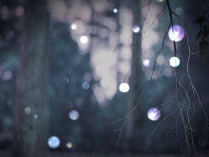 Winter Bokeh 3