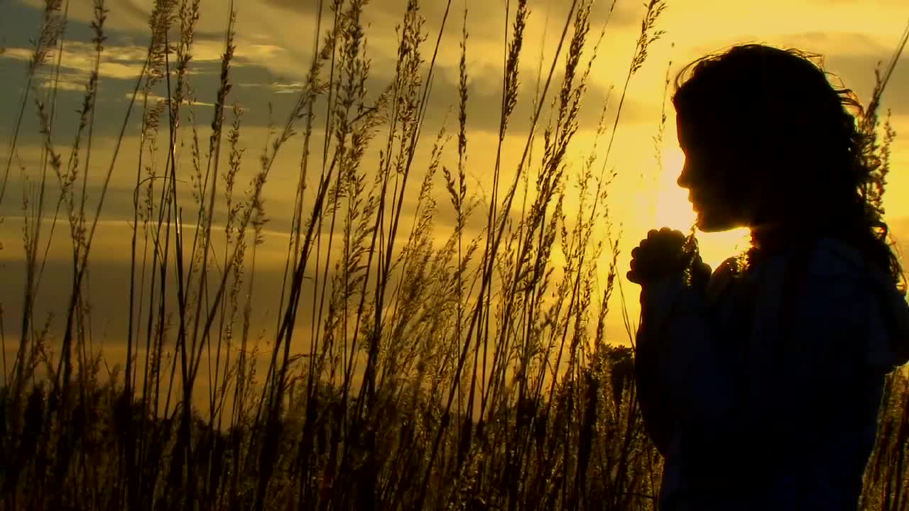Orange Sky Silhouette