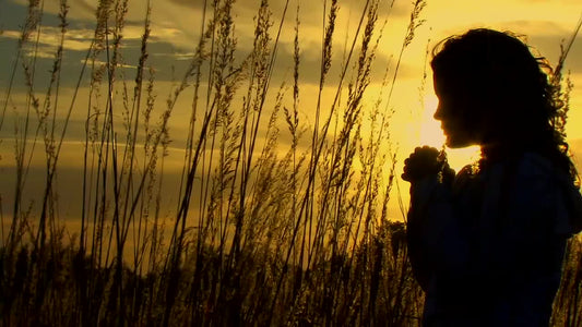 Orange Sky Silhouette