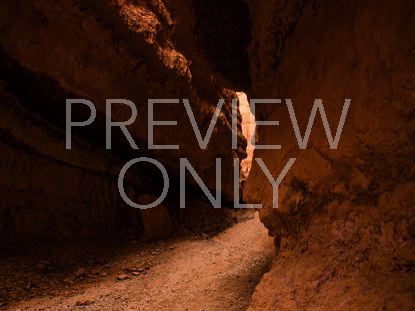 Canyon Path