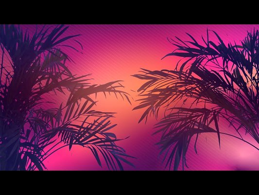 Sun Palms 10