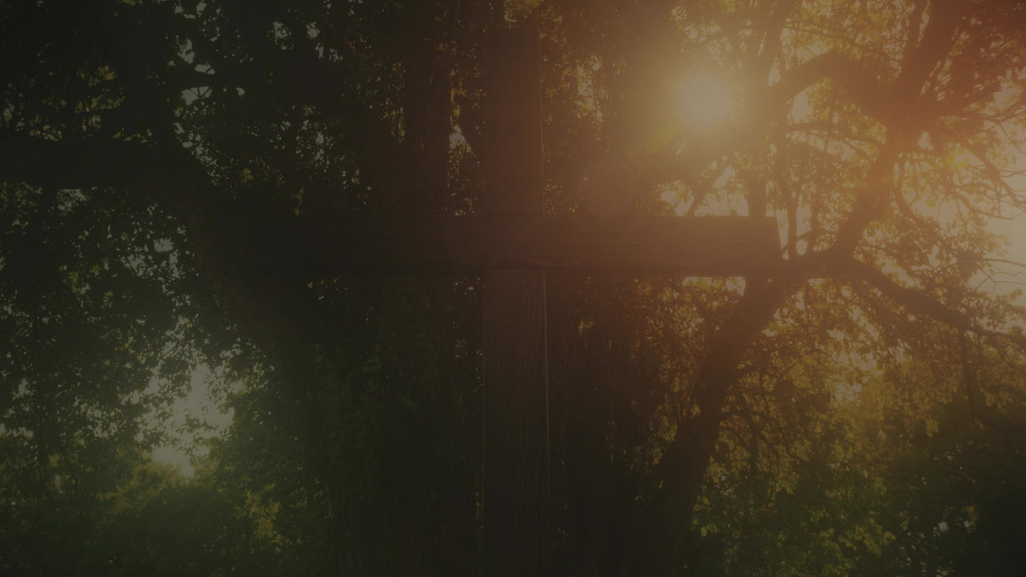 Cross 13 Alt Still
