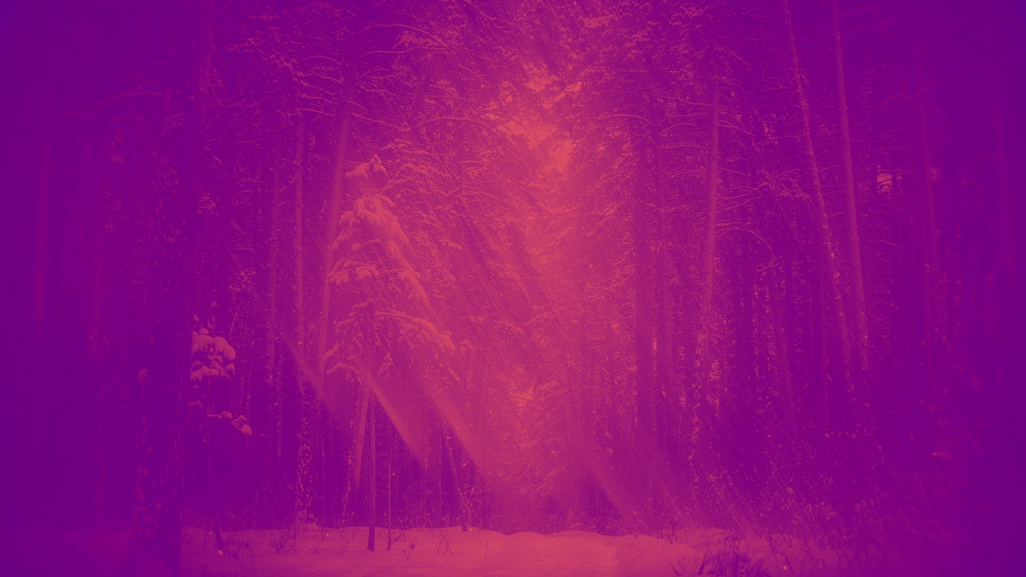Holiday Visions 5 Alt Still