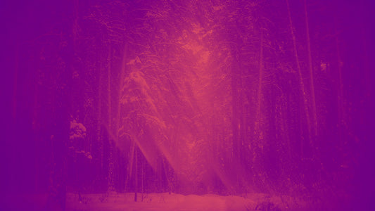 Holiday Visions 5 Alt Still