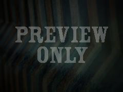 Shadow Cast 7