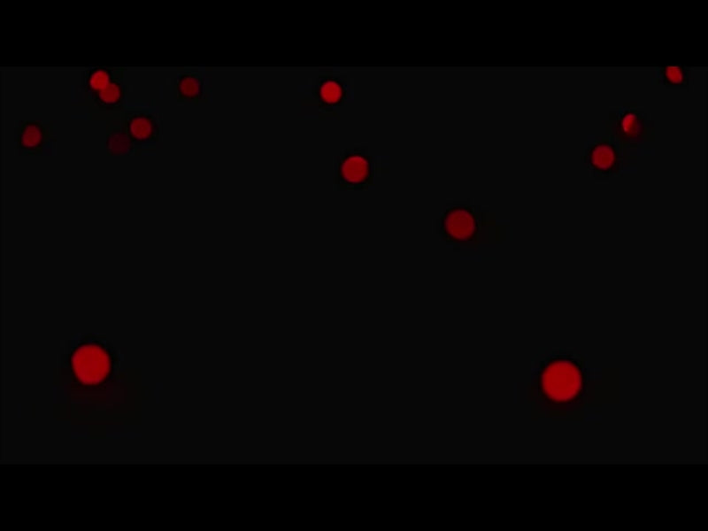 Christmas Lights: 09